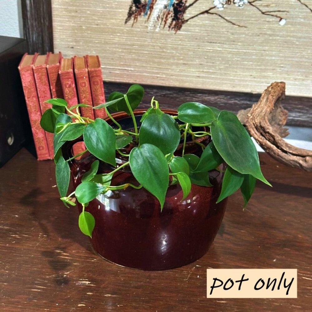 Vintage Brown Glaze Stoneware Crock Bean Pot USA Planter Utensil Holder NO LID
